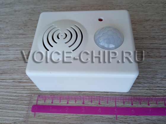 Звуковой информатор IV2022IKD с датчиком движения, размеры