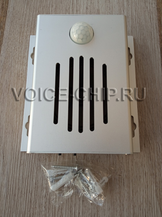 Звуковой информатор IV221003D комплектация