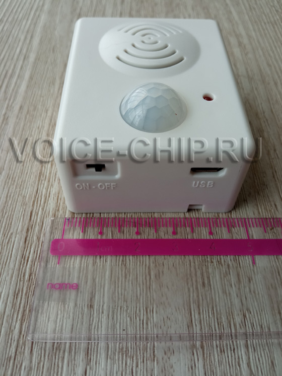 Звуковой информатор IV2022IKD с датчиком движения, USB разъем