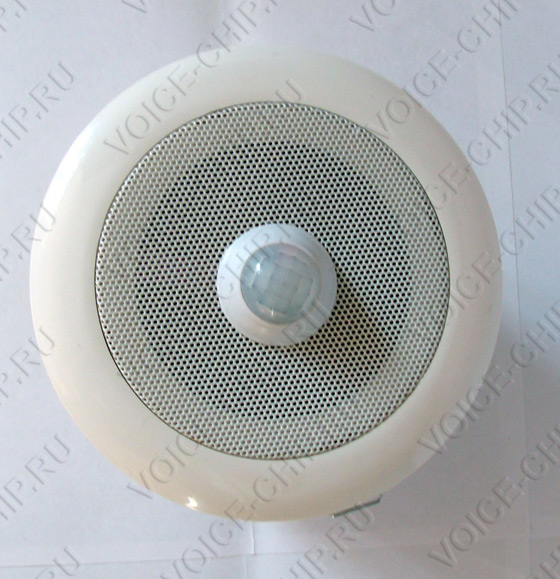 Звуковой (аудио) информатор для установки в подвесной потолок